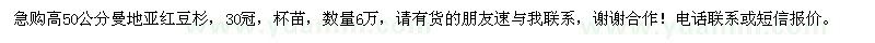 求購高50公分曼地亞紅豆杉
