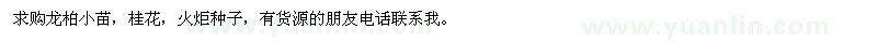 求購龍柏小苗、桂花、火炬種子