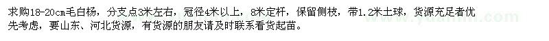 求購18-20公分毛白楊
