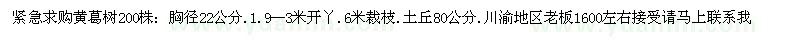 求購黃葛樹200株 