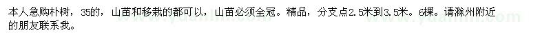求購(gòu)樸樹(shù)