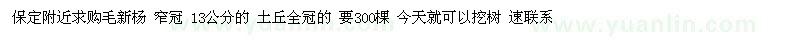 求購13公分毛新楊
