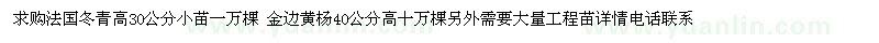 求購 法國冬青