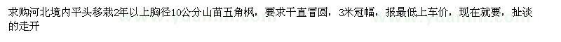 求購山苗五角楓