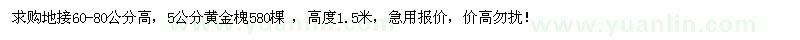 求購5公分黃金槐