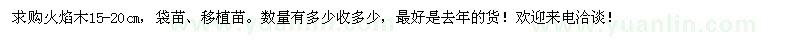 求購(gòu)火焰木15-20cm