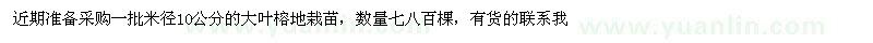 求購(gòu)米徑10公分的大葉榕地栽苗