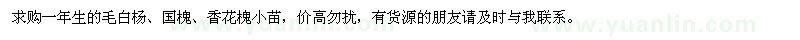 求購一年生的毛白楊、國槐、香花槐小苗