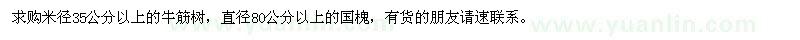 求購35公分以上的牛筋樹、80公分以上的國槐