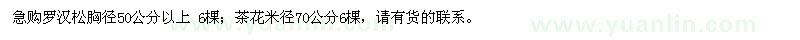 求購羅漢松、茶花