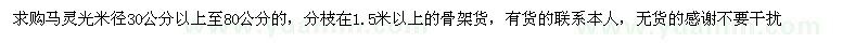 求購(gòu)米徑30公分以上至80公分的馬靈光