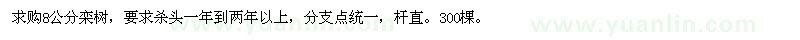 求購8公分欒樹