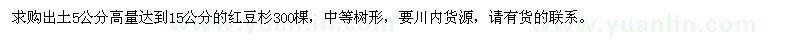 求購(gòu)15公分的紅豆杉