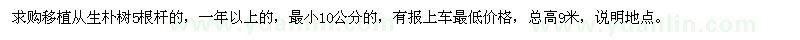 求購(gòu)移植從生樸樹(shù)最小10公分