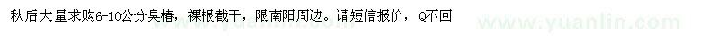 求購6-10公分臭椿 