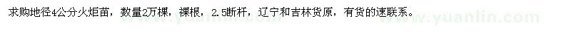 求購(gòu)地徑4公分火炬苗