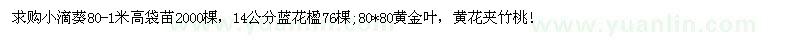 求購小蒲葵、藍(lán)花楹