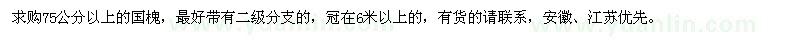 求購(gòu)75公分以上的國(guó)槐