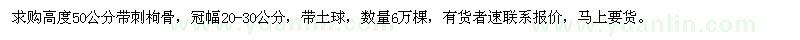 求購高50公分帶刺枸骨
