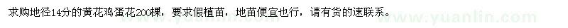 求購地徑14分黃花雞蛋花