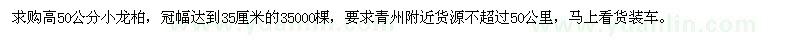 求購(gòu)高50公分小龍柏