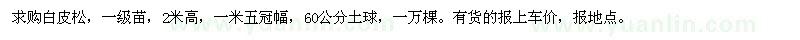 求購高2米白皮松