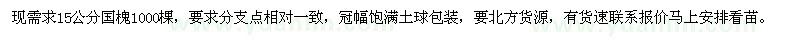 求購(gòu)15公分國(guó)槐