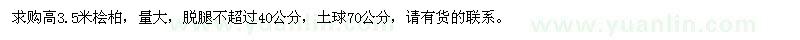 求購高3.5米檜柏