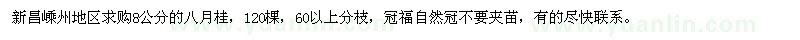 求購8公分的八月桂