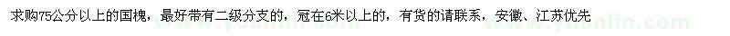 求購(gòu)75公分以上的國(guó)槐 