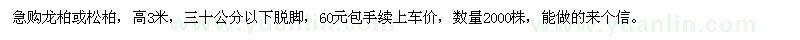 求購龍柏、松柏