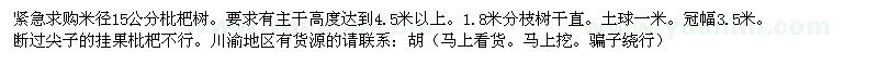 求購米徑15公分枇杷樹