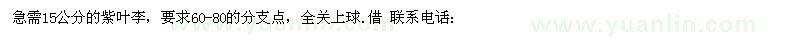 求購15公分的紫葉李