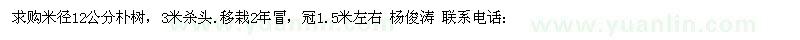 求購米徑12公分樸樹