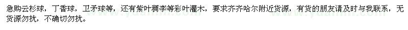求購(gòu)云杉球、丁香球、衛(wèi)矛球、紫葉稠