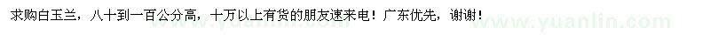 求購80-100公分高白玉蘭