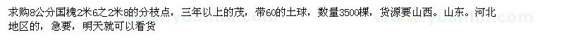 求購8公分國槐