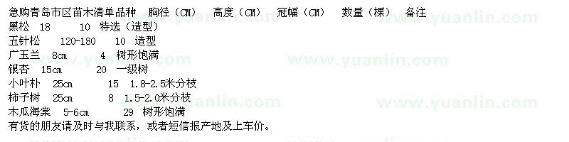 求購黑松、五針?biāo)?、廣玉蘭、銀杏、小葉樸、柿子樹