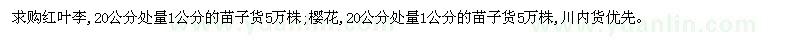 求購1公分的紅葉李、櫻花