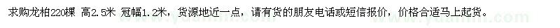 求購高2.5米龍柏