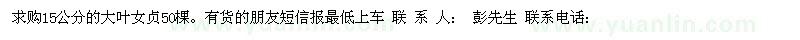 求購15公分的大葉女貞50棵。