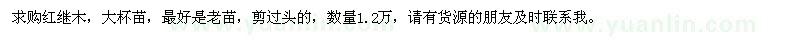 求購紅繼木，大杯苗，最好是老苗