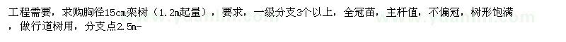 求購15公分欒樹44株