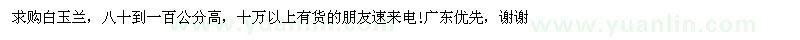 求購(gòu)白玉蘭