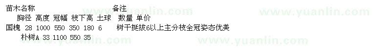 求購(gòu)國(guó)槐、樸樹(shù)