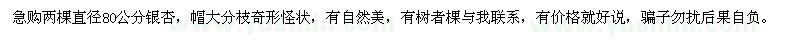 求購急兩棵直徑80公分銀杏