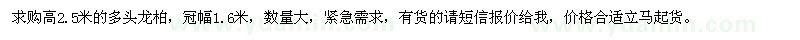 求購高2.5米多頭龍柏