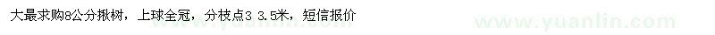 求購8公分楸樹