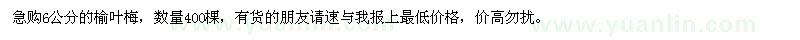 求購6公分的榆葉梅