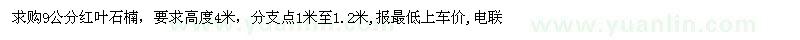 求購(gòu)9公分紅葉石楠